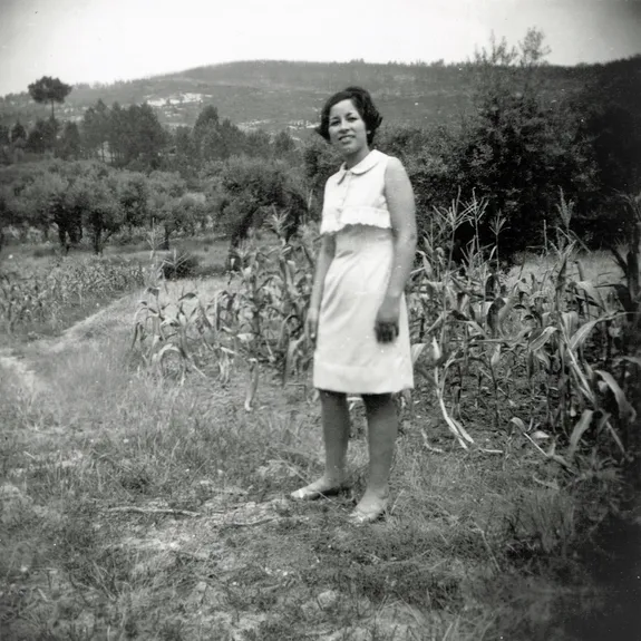 Vista da paisagem agrícola da aldeia, com milheiral e olival (s.d.). Espólio da família de Clarisse Antunes.
